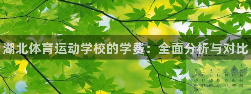 利记官方正版app集团官网网址：湖北体育运动学校的学