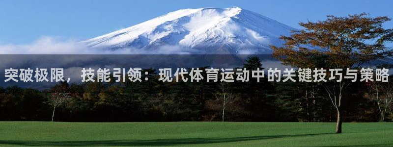 利记官方正版app集团官网首页：突破极限，技能引领：