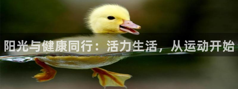 利记官方正版app代理：阳光与健康同行：活力生活，从