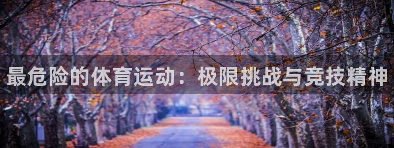 利记官网下载平台注册要钱吗是真的吗：最危险的体育运动：极限挑