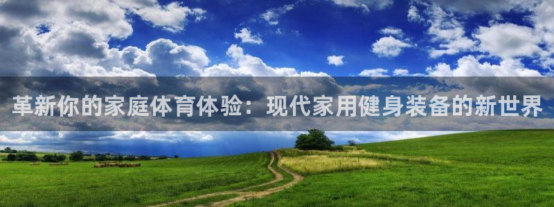 利记官方正版app集团logo：革新你的家庭体育体验：现代家