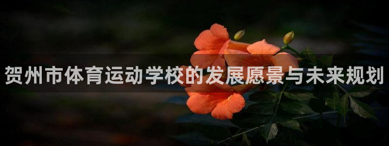 利记官网下载平台是正规平台吗知乎：贺州市体育运动学校的发展愿