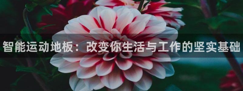 利记官网下载平台是正规平台吗：智能运动地板：改变你生