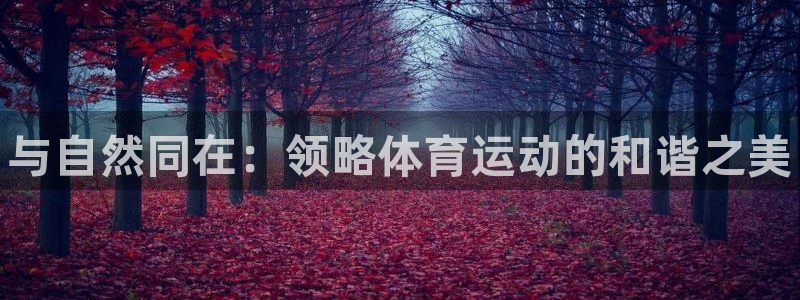 利记官方正版app新能源：与自然同在：领略体育运动的