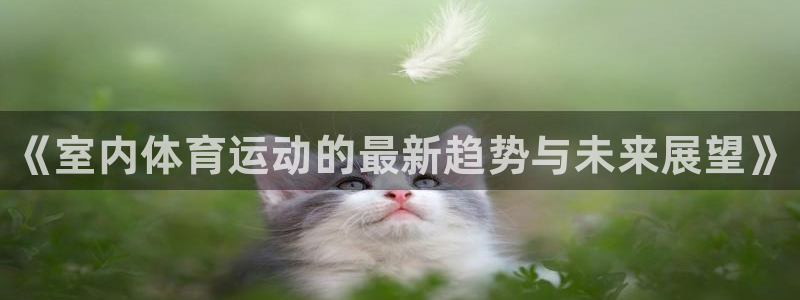 利记官网下载是干嘛的公司：《室内体育运动的最新趋势与