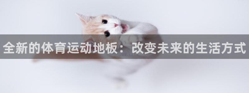 利记官方正版app集团官网首页网址