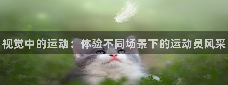 利记官方正版app五金厂：视觉中的运动：体验不同场景下的运动