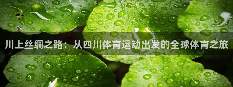 德国利记官方正版app集团：川上丝绸之路：从四川体育运动出发