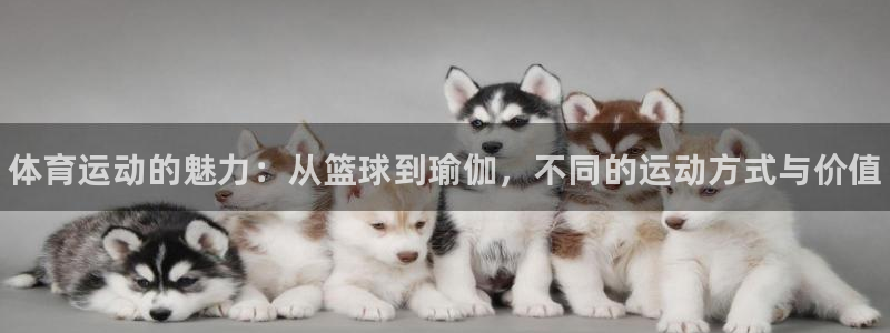 利记官方正版app娱乐代理怎么样：体育运动的魅力：从