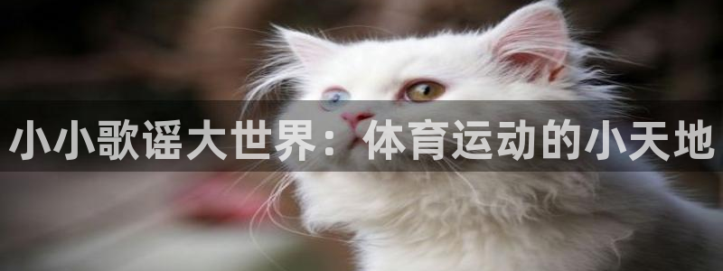 利记官网下载招商电话号码是多少啊：小小歌谣大世界：体育运动的