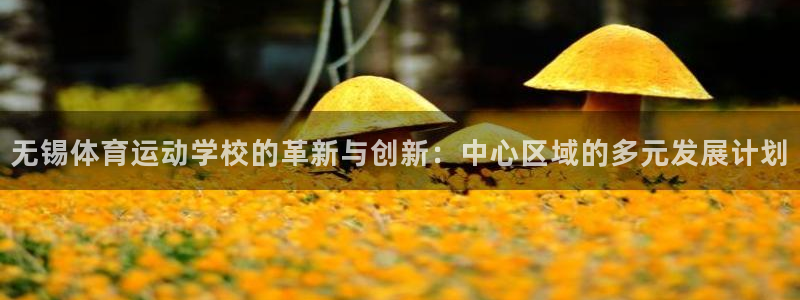 利记官网下载软件：无锡体育运动学校的革新与创新：中心区域的多