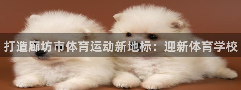 利记官方正版app娱乐代理怎么样：打造廊坊市体育运动