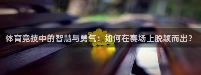 利记官网下载联系电话：体育竞技中的智慧与勇气：如何在赛场上脱