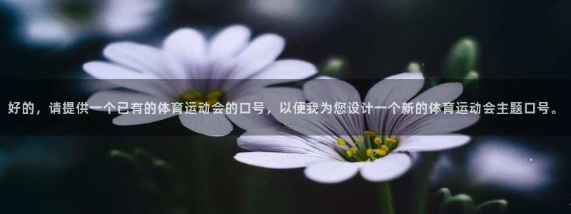 利记官网下载注册：好的，请提供一个已有的体育运动会的