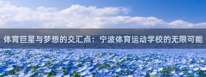 利记官方正版app神州：体育巨星与梦想的交汇点：宁波体育运动