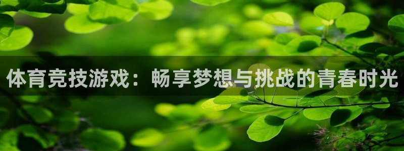 利记官网下载平台注册流程视频：体育竞技游戏：畅享梦想与挑战的