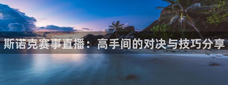 乐球足球直播在线观看：斯诺克赛事直播：高手间的对决与技巧分享