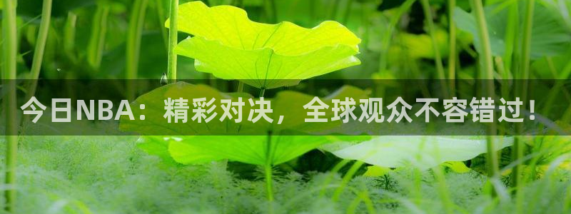乐球直播免费：今日NBA：精彩对决，全球观众不容错过！
