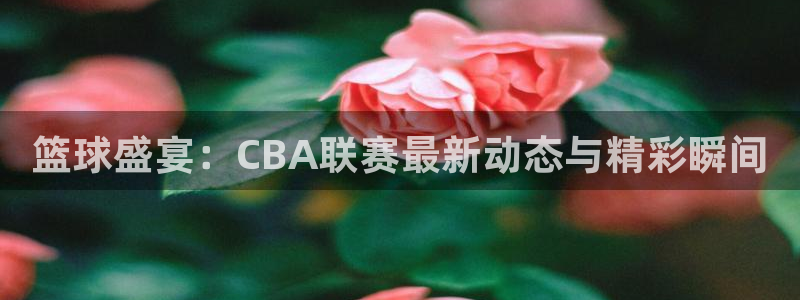 jrs直播乐球：篮球盛宴：CBA联赛最新动态与精彩瞬间