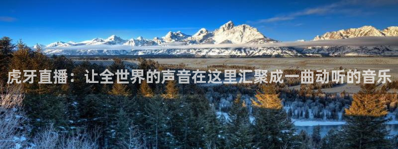 乐球直播nba直播免费观看高清：虎牙直播：让全世界的声音在这里汇聚成一曲动听的音乐