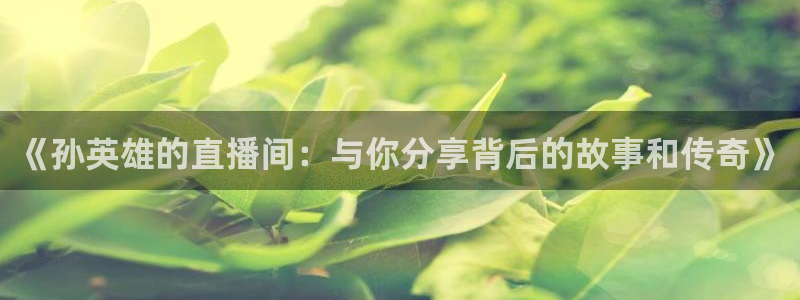 乐球直播高清版：《孙英雄的直播间：与你分享背后的故事和传奇》