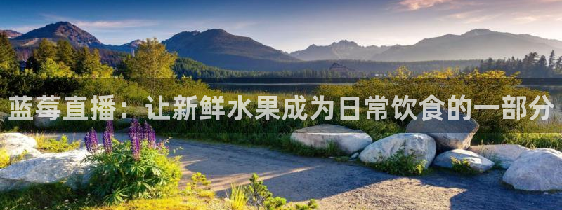 新闻图片