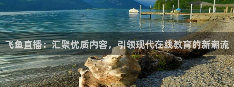 乐球在线观看免费直播