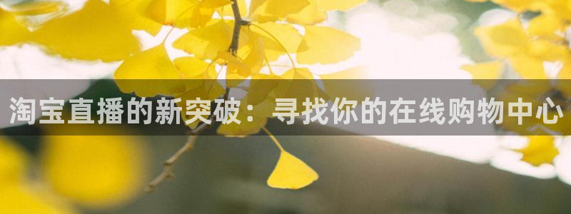 乐球直播官网在线观看