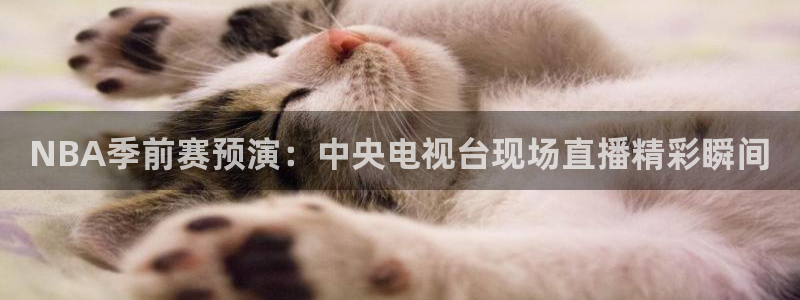 乐球直播