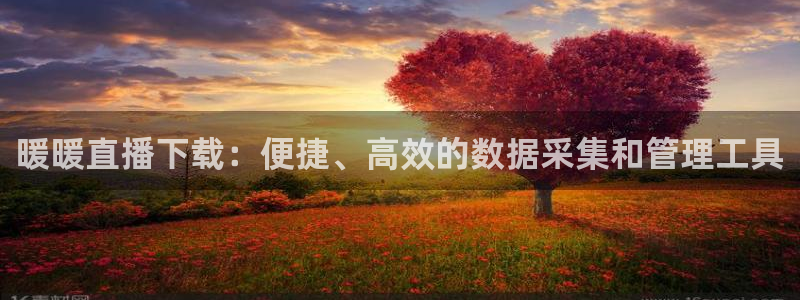 乐球直播免费体育直播足球：暖暖直播下载：便捷、高效的数据采集和管理工具