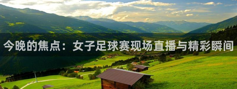 乐球直播雨燕直播：今晚的焦点：女子足球赛现场直播与精彩瞬间